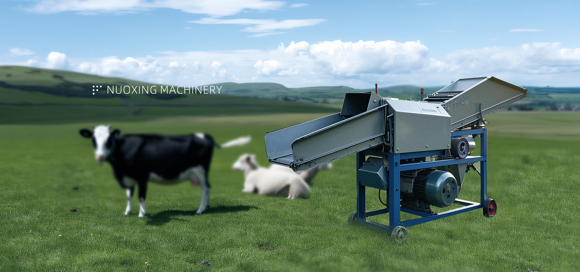 Wählen Sie das richtige